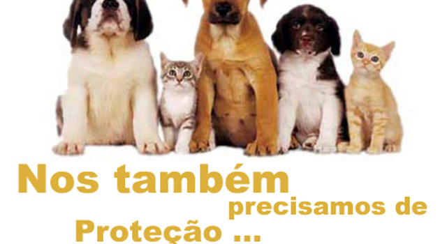 oração de proteção aos animais