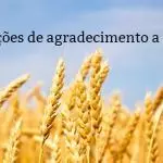 3 orações de agradecimento a deus