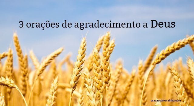 3 orações de agradecimento a deus