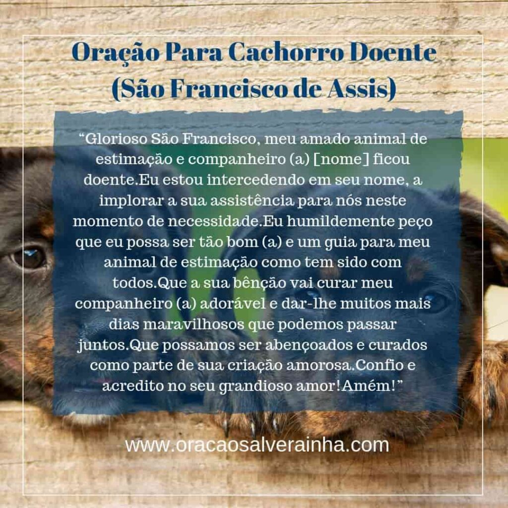 Oração para cachorro doente